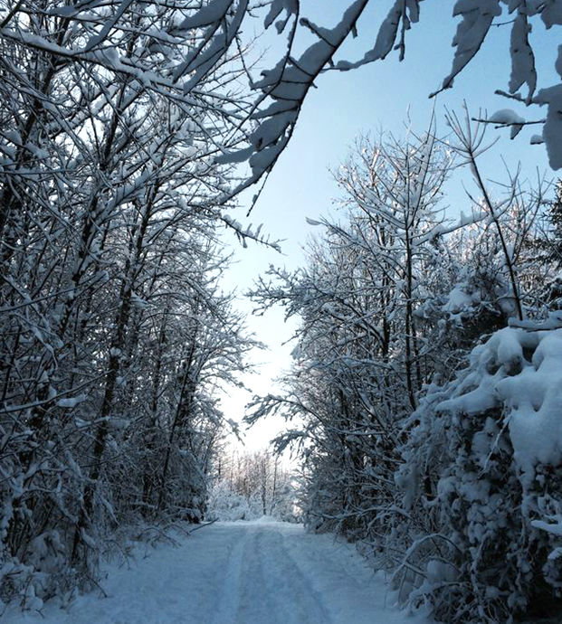 winterweg.jpg